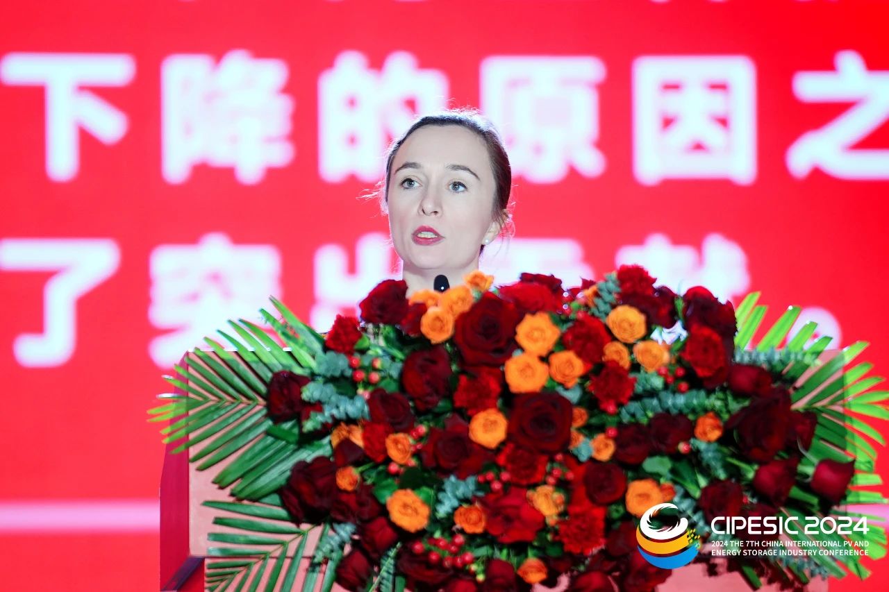 7ea61736142a81bef142a9339fdfda15.jpg 7ea61736142a81bef142a9339fdfda15.jpg