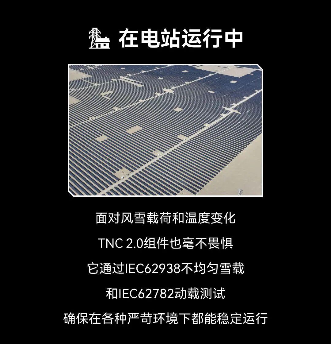 e94cf88f809f428c9d1dd724a80c3833.jpg